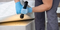 Débarrasser des punaises de lit à Lyon 1 – Service professionnel 69001 Rhône