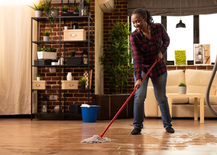 Société de ménage Lyon 2 : Entreprise de nettoyage & lavage professionnel de vos bureaux