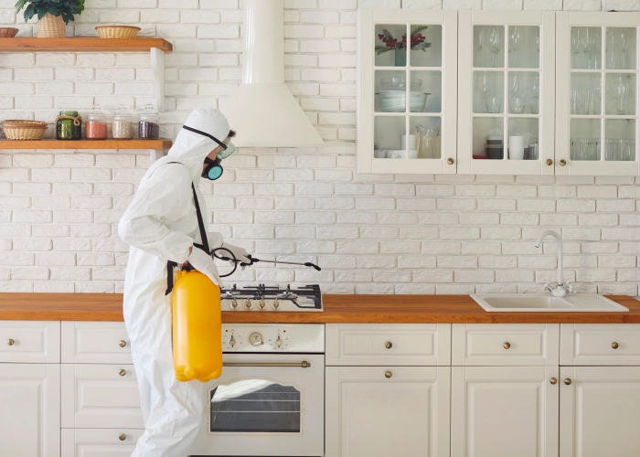 Débarrasser des punaises de lit à Lyon – Service professionnel 69000 Rhône